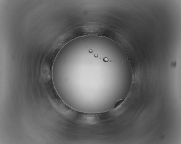X0000112870187200908211435