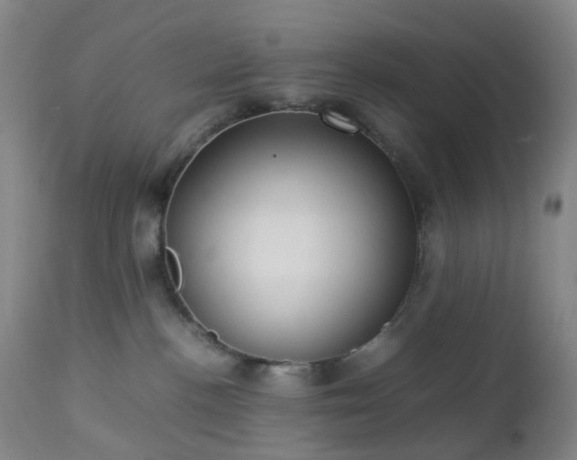 X0000112870188200908211435