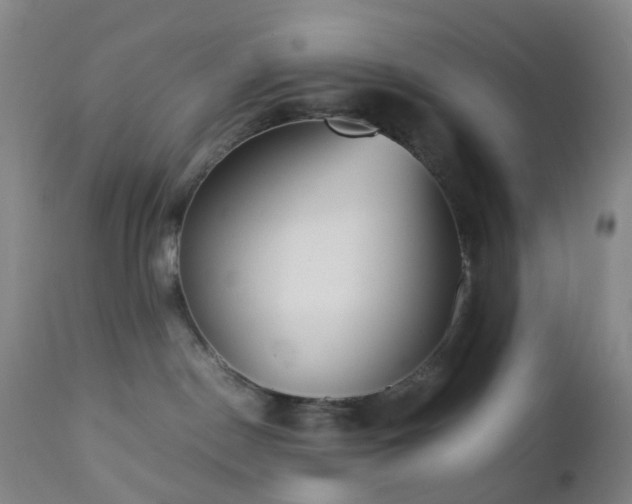 X0000112870190200908211435
