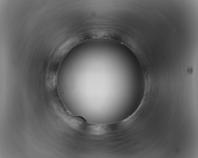 X0000112870191200908211435