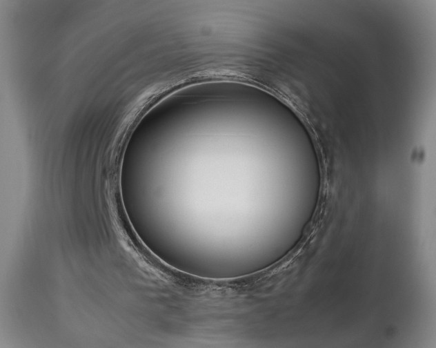 X0000112870193200908211434