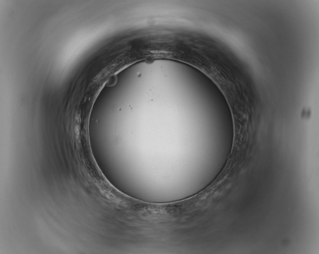 X0000112870194200908211434