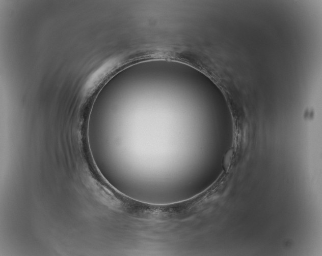 X0000112870197200908211434