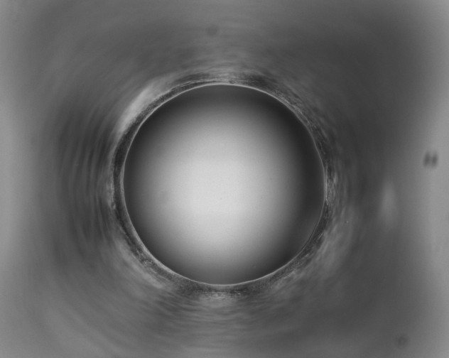 X0000112870198200908211434