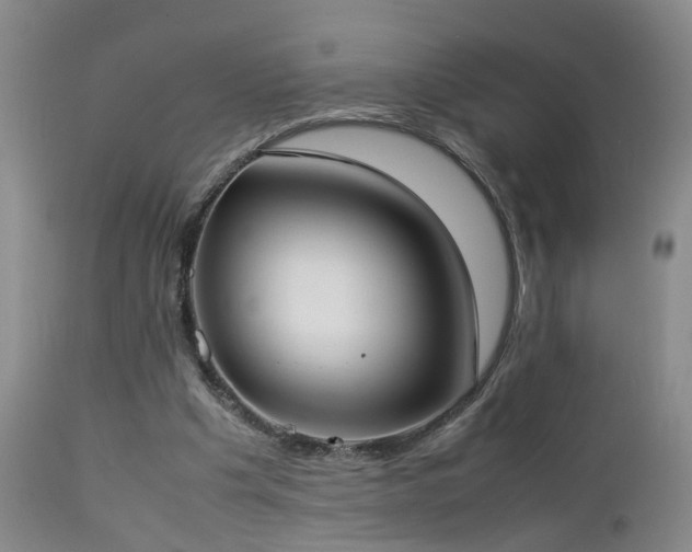 X0000112870201200908211434