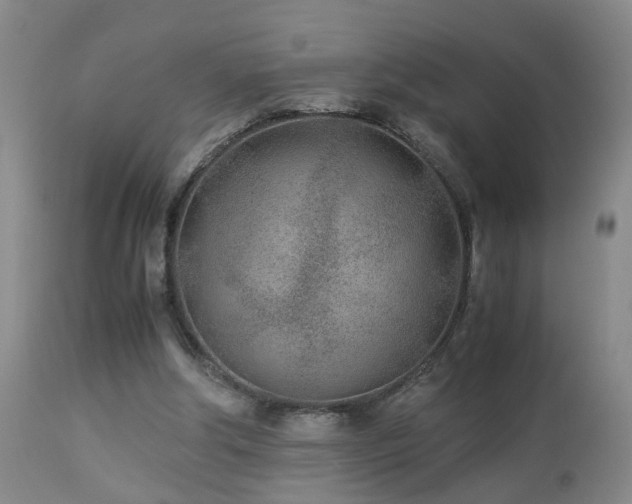 X0000112870202200908211434