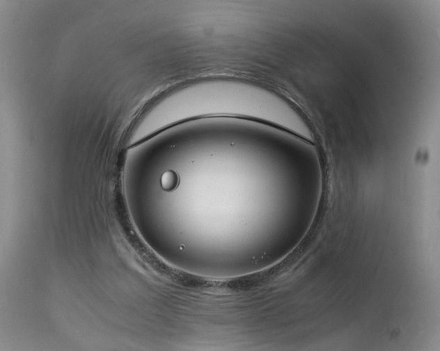 X0000112870203200908211434