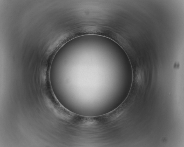 X0000112870206200908211434