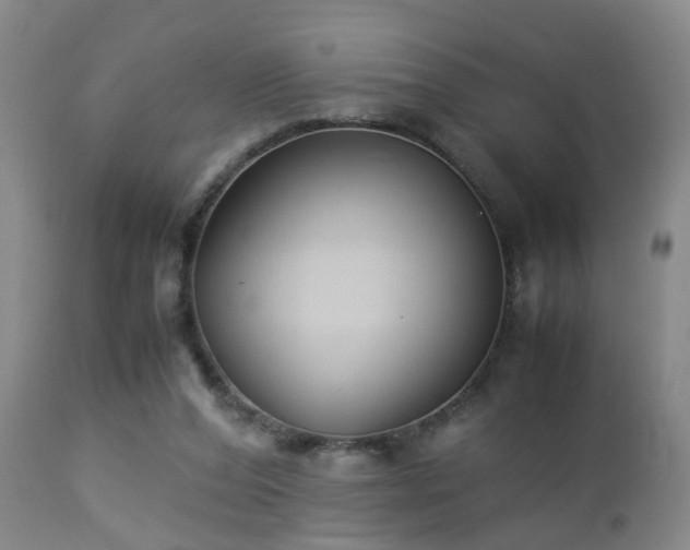 X0000112870208200908211434