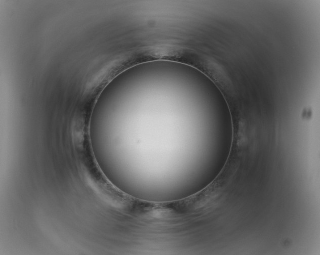 X0000112870210200908211434
