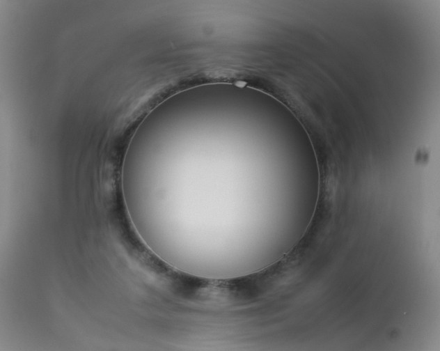 X0000112870211200908211434