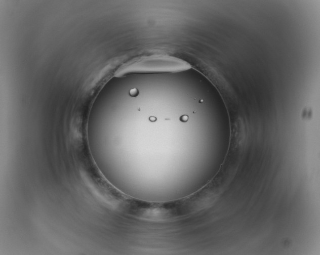 X0000112870212200908211434