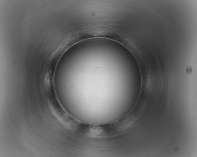 X0000112870214200908211434