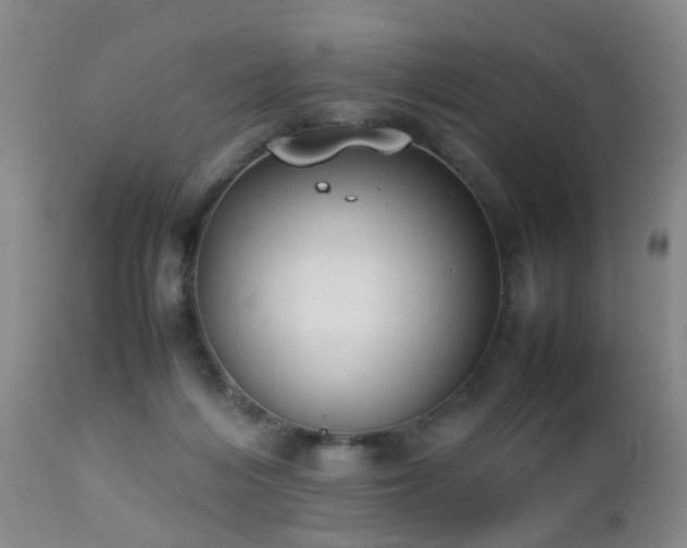 X0000112870216200908211434
