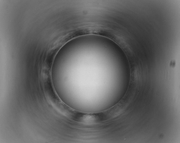 X0000112870218200908211434