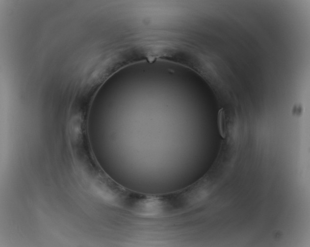 X0000112870219200908211434