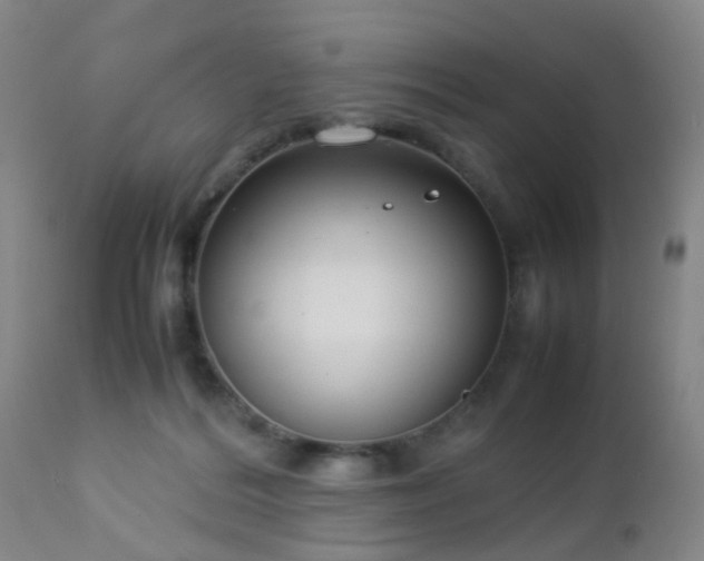 X0000112870220200908211434