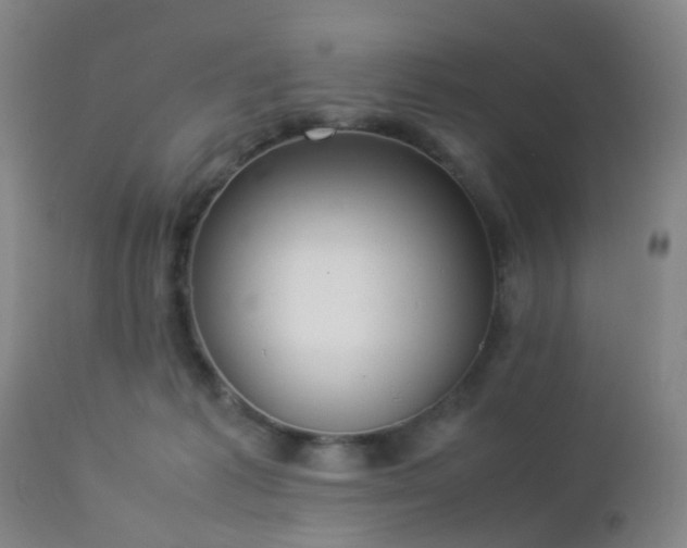 X0000112870221200908211434