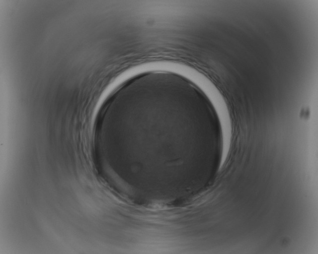X0000112870223200908211434