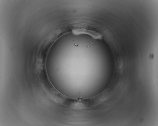 X0000112870224200908211434