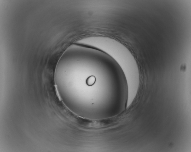 X0000112870225200908211434