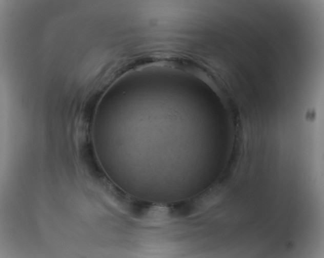 X0000112870227200908211434