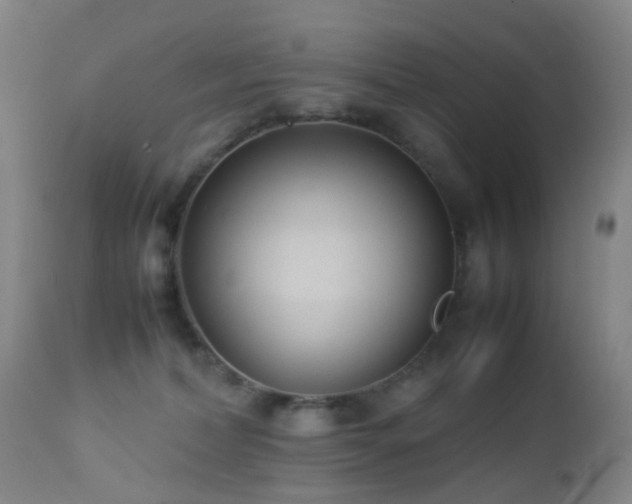 X0000112870228200908211433