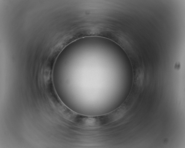 X0000112870230200908211433