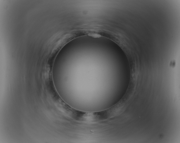 X0000112870231200908211433
