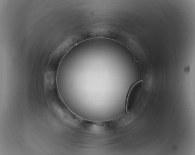X0000112870232200908211433