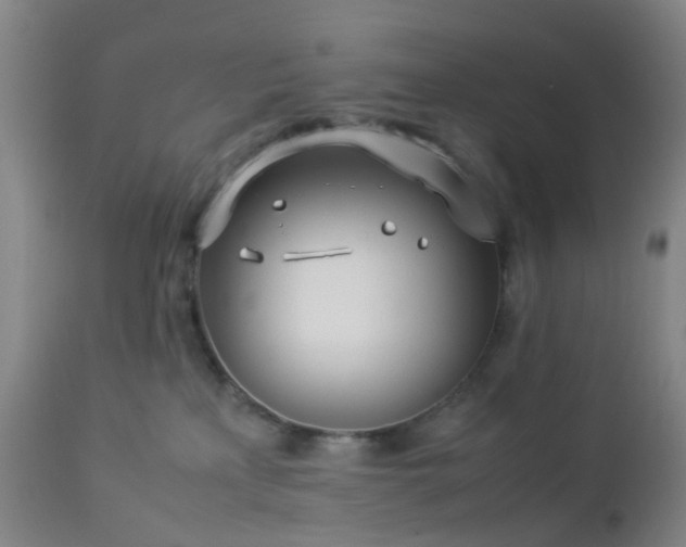 X0000112870233200908211433