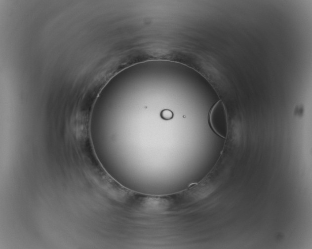X0000112870234200908211433