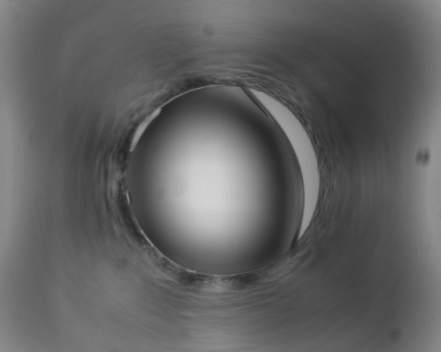 X0000112870235200908211433