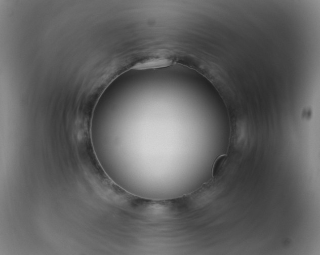 X0000112870236200908211433