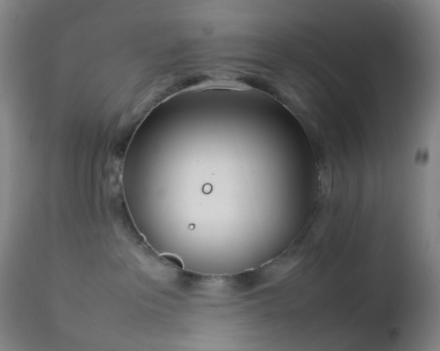 X0000112870237200908211433