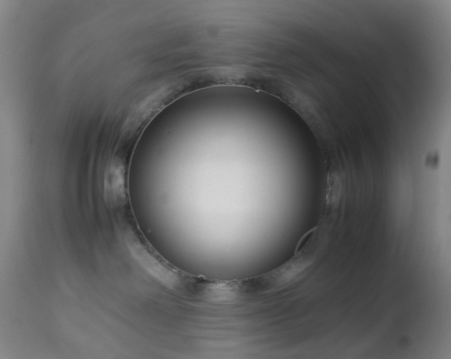 X0000112870238200908211433
