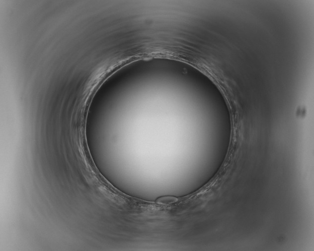 X0000112870241200908211433