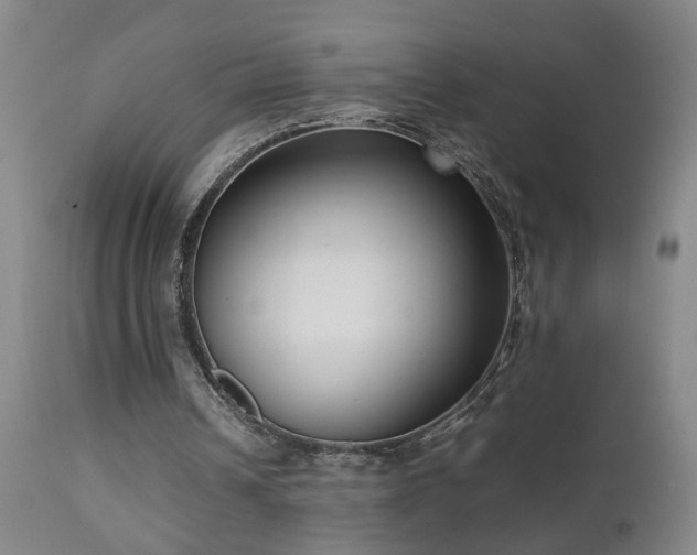 X0000112870242200908211433