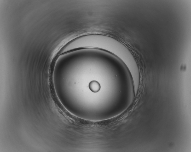 X0000112870244200908211433
