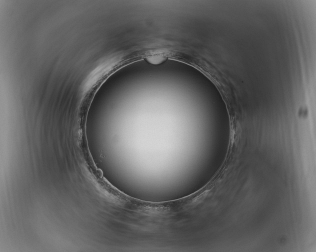 X0000112870245200908211433
