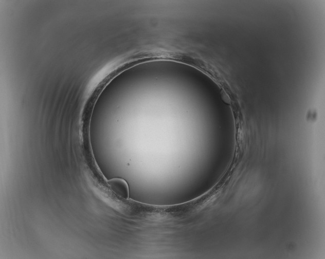 X0000112870246200908211433