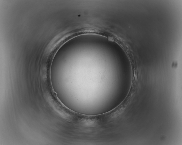 X0000112870247200908211433