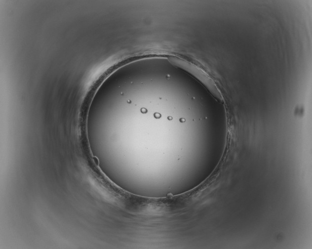 X0000112870248200908211433