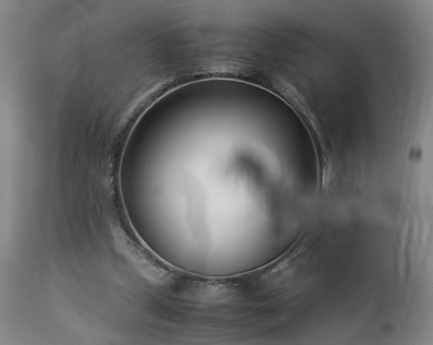 X0000112870249200908211433
