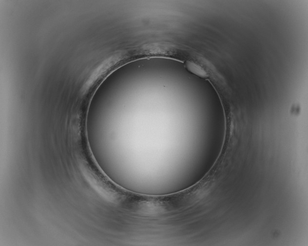 X0000112870250200908211433