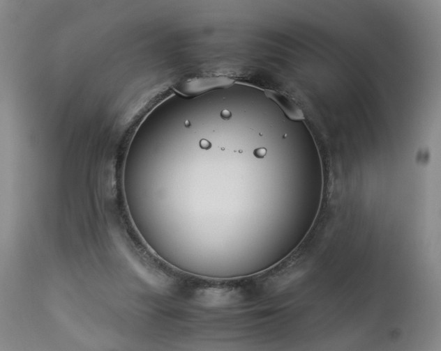 X0000112870251200908211433
