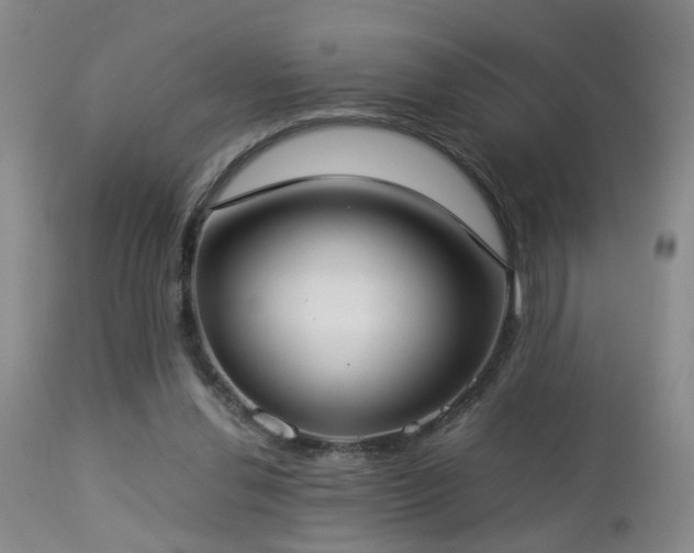 X0000112870252200908211433