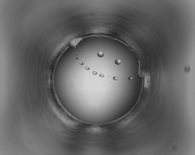 X0000112870253200908211433