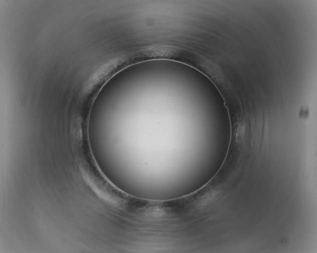 X0000112870254200908211433
