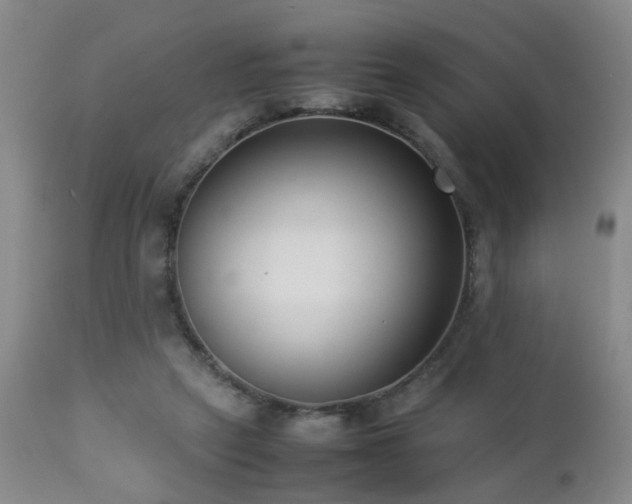 X0000112870257200908211433
